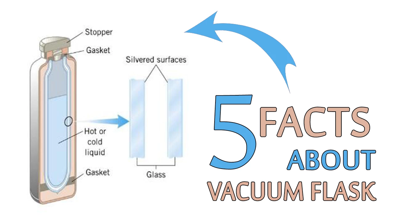 Five key facts about glass refill in a vacuum flask