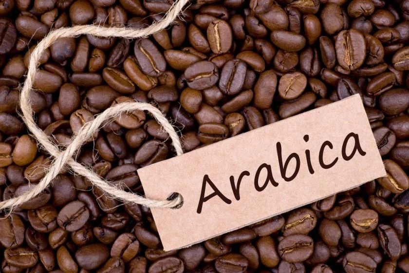 Cà phê Arabica còn gọi là cà phê chè