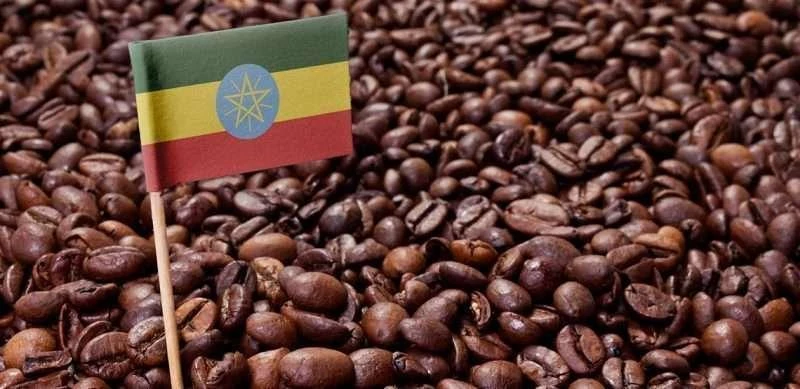 Coffee Ethiopia Arabica